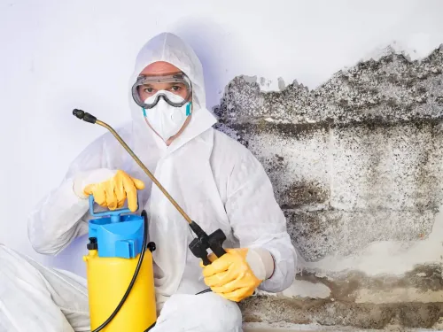 asbestos mold removal